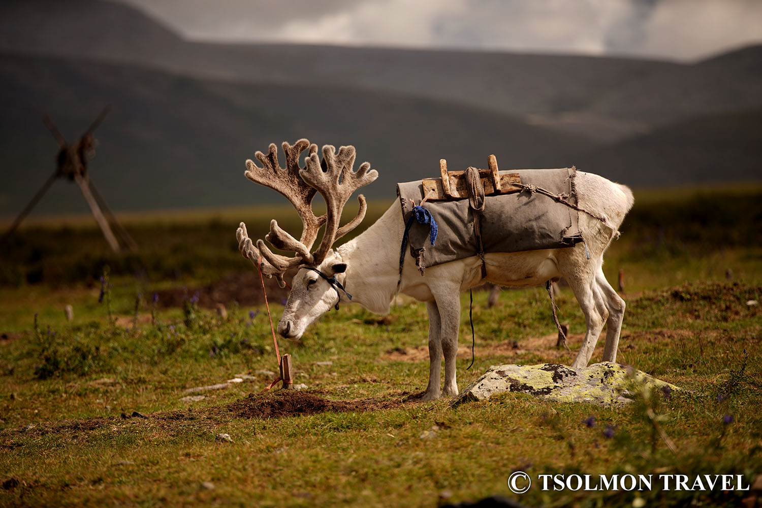 Northern Mongolia