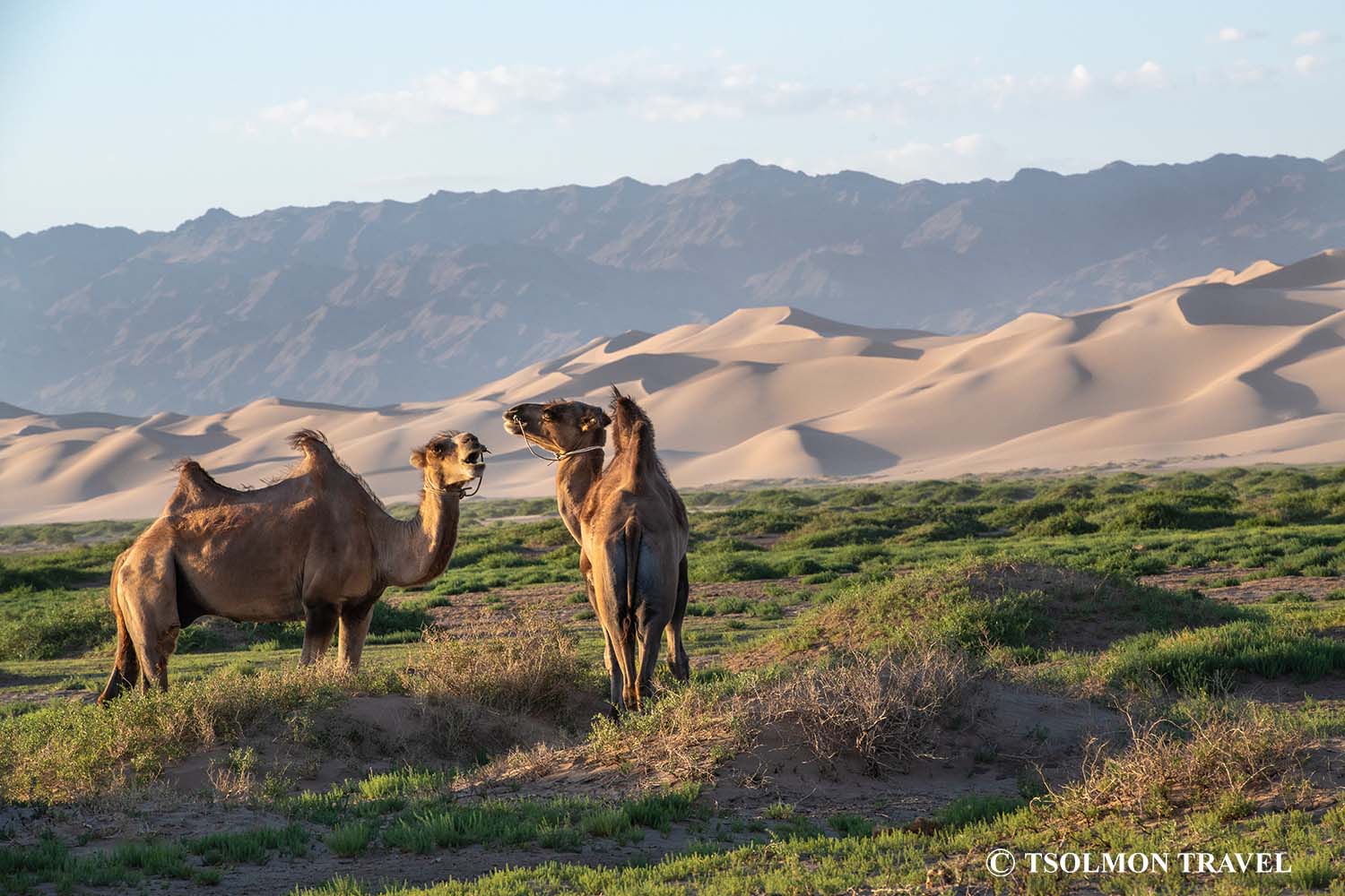 Wonders of South Mongolia