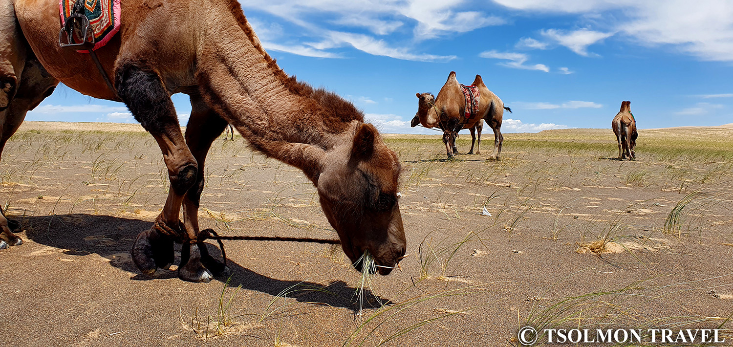 Wonders of South Mongolia