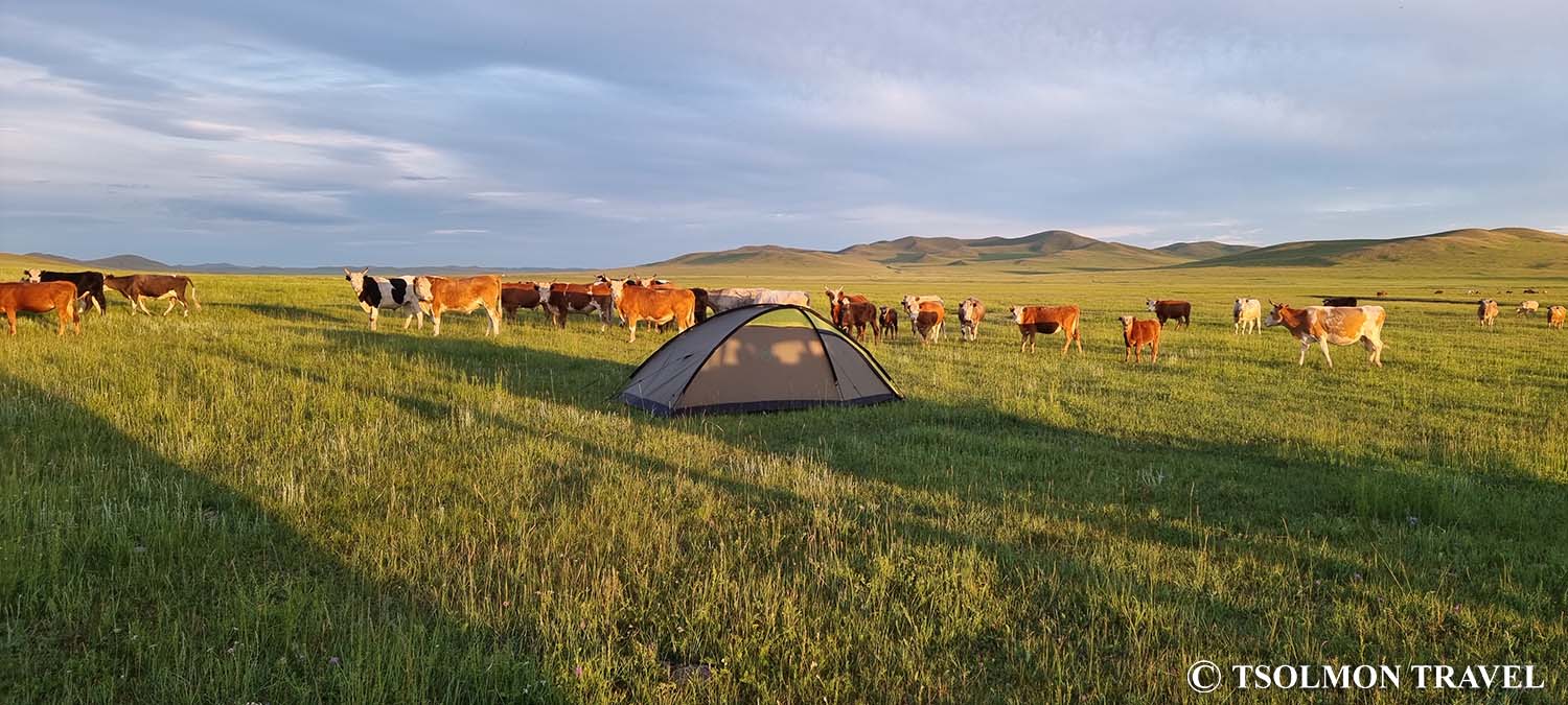 The Horse trekking in Altai Mountains