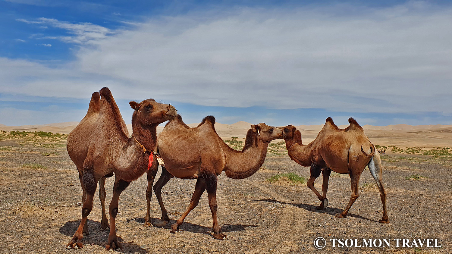 Exclusive Round Trip Package