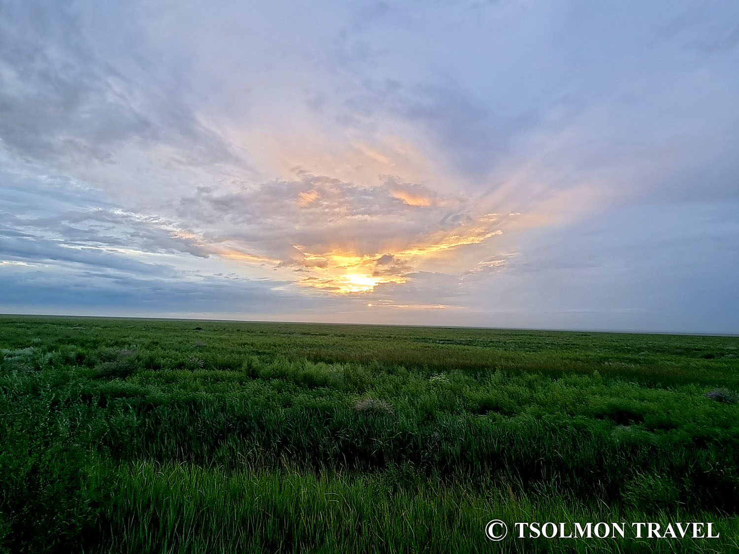 Menen Steppe