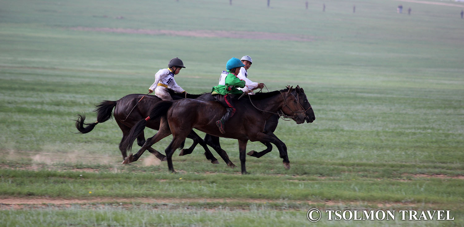 Local Naadam festival experience tour