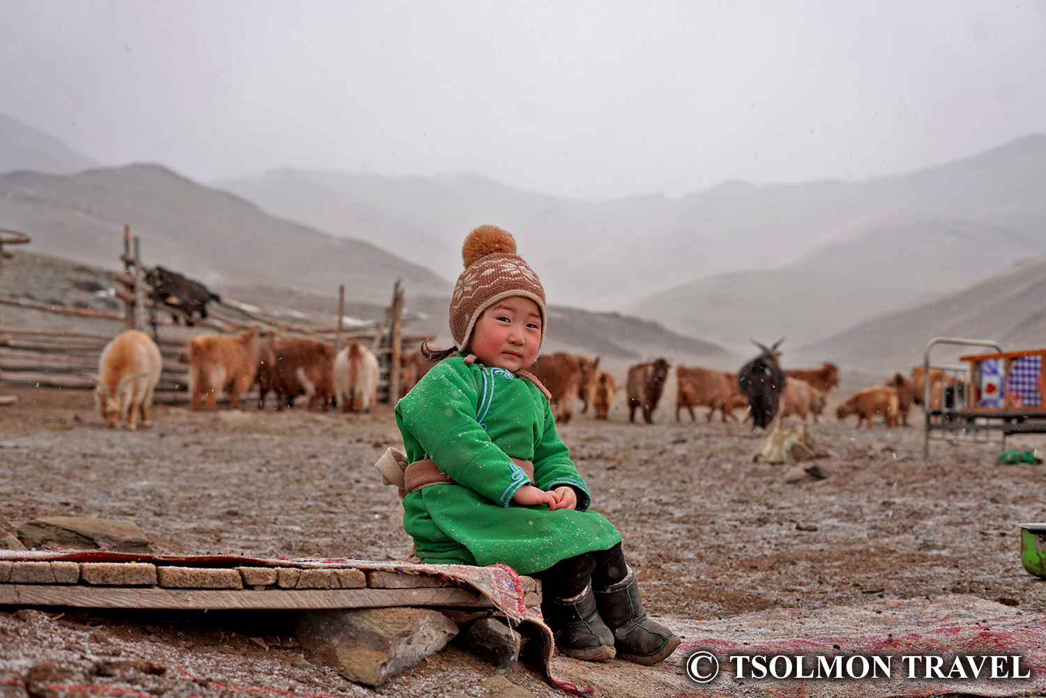 Snow White Steppe in Mongolia