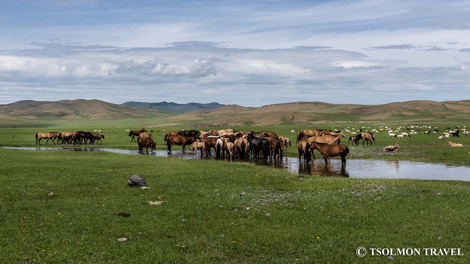 Trekking adventure tour in Central Mongolia