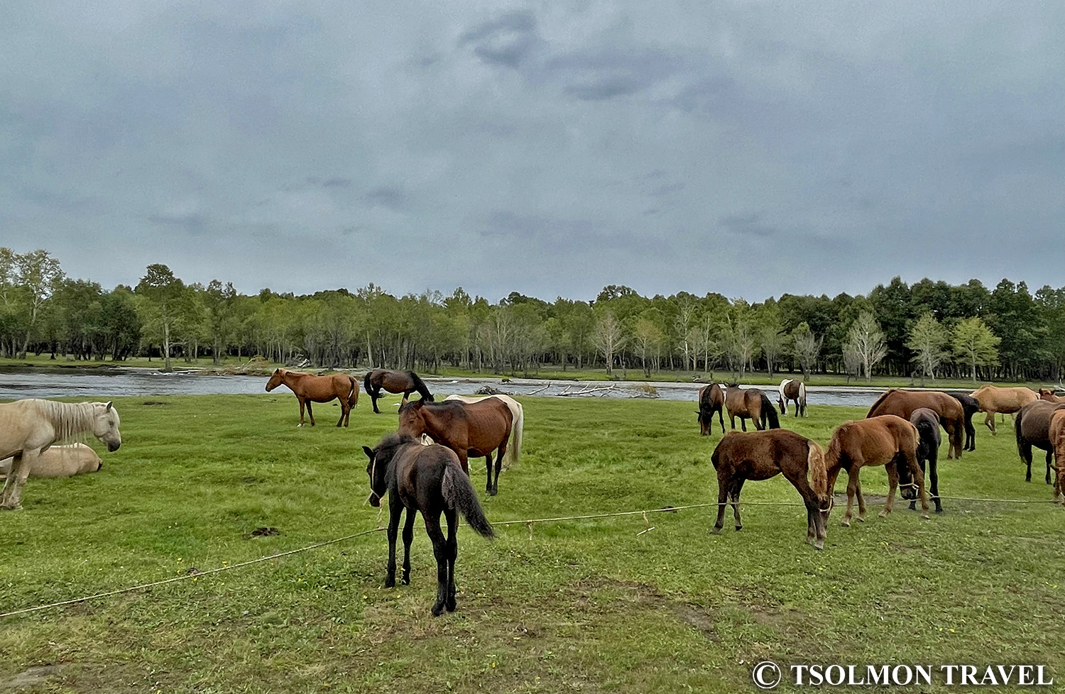 Horseback riding through Terelj National Park