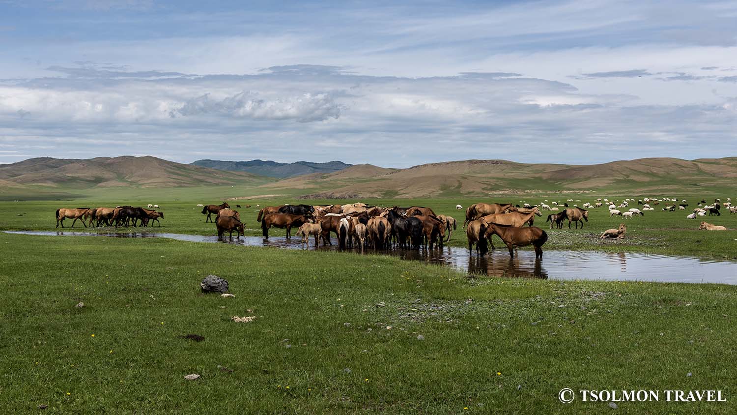 Central Mongolia Horseback Riding Tour